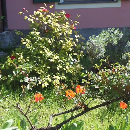Le Ginestre Apartment Levanto Room photo