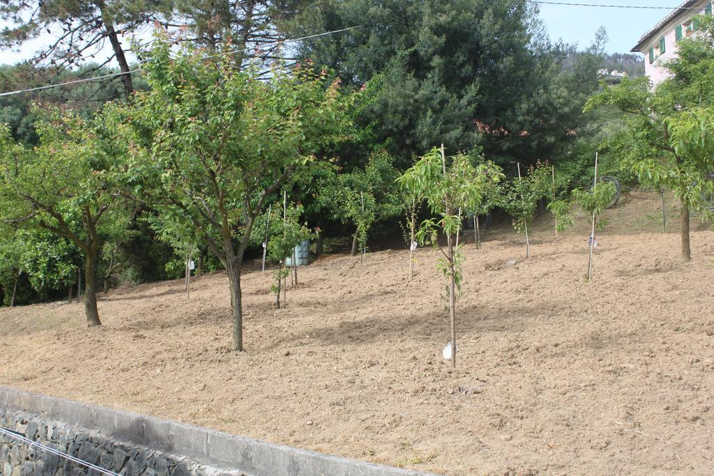 Apartment Le Ginestre *