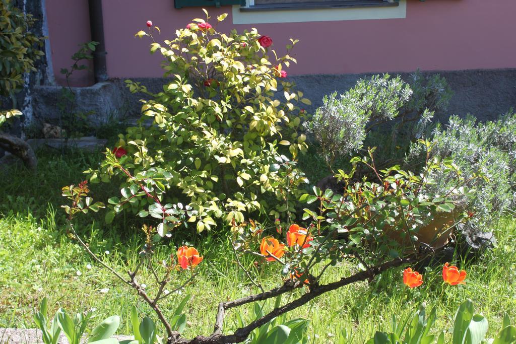 Le Ginestre Apartment Levanto